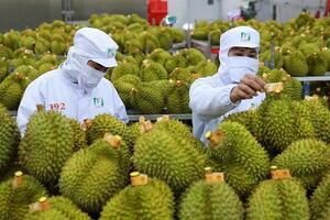 Quý I/2025, xuất khẩu nông, lâm, thủy sản đạt 15,72 tỷ USD