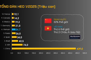 Cơ hội chuyển đổi số trong chăn nuôi heo Việt Nam: Từ mô hình truyền thống đến chăn nuôi thông minh