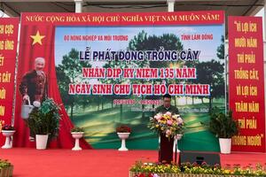 Lâm Đồng trồng 38 triệu cây xanh, bảo vệ 538.000 ha rừng