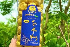 Vĩnh Phúc: Tích cực đồng hành cùng cơ sở công nghiệp nông thôn