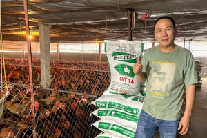 Trang trại chăn nuôi an toàn sinh học của chủ đại lý cám tại Phú Thọ
