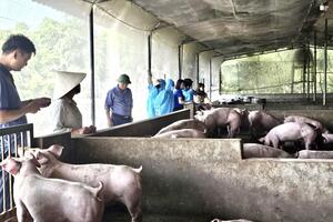 Chăn nuôi tuần hoàn – Hướng đi phù hợp với thời đại