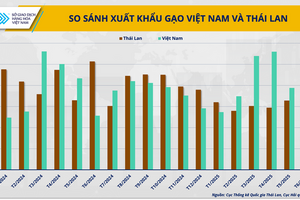 Gạo Việt có thể giữ được vị trí xuất khẩu thứ hai thế giới trong bao lâu?