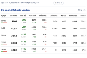 Giá cà phê hôm nay 16/8/2025: Tiếp đà tăng mạnh
