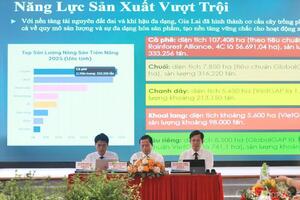 Cơ hội lớn cho nông sản Gia Lai tại thị trường Trung Quốc