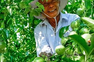 Giải pháp nâng tầm và thúc đẩy xuất khẩu các loại trái cây có lợi thế