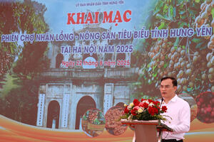 Phiên chợ nhãn lồng Hưng Yên 2025: Quảng bá đặc sản tiến vua tại Thủ đô