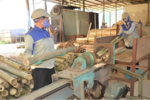 Chế biến sâu tre, luồng: Hướng thoát nghèo cho bà con xứ Thanh