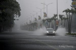 Nghệ An cấm tạm thời một số tuyến đường để phòng chống bão số 5