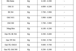 Giá lúa gạo hôm nay ngày 25/8: Gạo nguyên liệu giảm mạnh