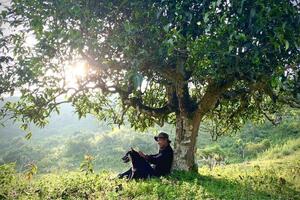 Chè shan tuyết Suối Giàng và hành trình định danh trên thị trường thế giới