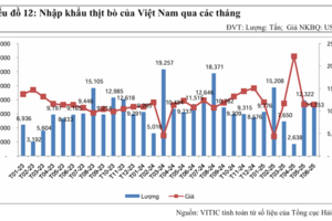 Nhập khẩu thịt bò 6 tháng đầu năm 2025 đạt gần 60.000 tấn