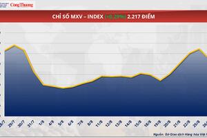 Giá ngô quay đầu giảm 0,85% xuống 159,8 USD/tấn