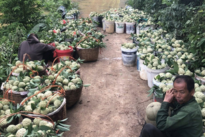 Na Cai Kinh giúp bà con vùng cao vươn lên thoát nghèo