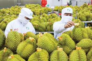 Thủ tướng chỉ đạo tăng cường truy xuất nguồn gốc nông, lâm, thủy sản xuất khẩu