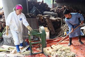 Thành công nhờ chăn nuôi an toàn sinh học