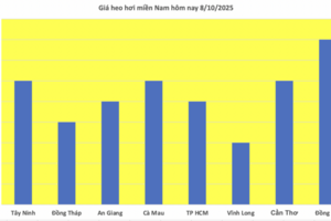 Giá heo hơi hôm nay 8/10/2025: Tiếp đà giảm tại miền Trung và miền Nam