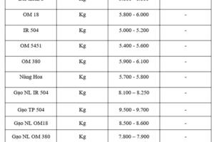 Giá lúa gạo hôm nay ngày 8/10: Gạo bình ổn, lúa tươi chững giá