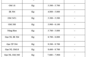 Giá lúa gạo hôm nay ngày 26/10 và tuần qua: Lúa đồng loạt giảm mạnh