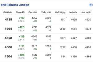 Giá cà phê hôm nay 26/10/2025: Trong nước tăng nhẹ