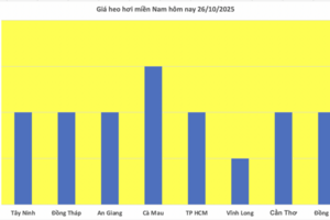 Giá heo hơi hôm nay 26/10/2025: Trầm lắng phiên cuối tuần