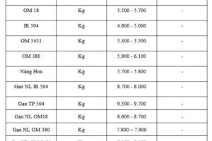Giá lúa gạo hôm nay ngày 28/10: Gạo xuất khẩu tăng giảm trái chiều