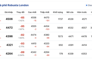 Giá cà phê hôm nay 28/10/2025: Tăng nhẹ 500 đồng/kg