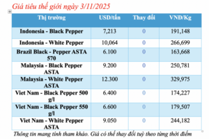Giá tiêu hôm nay 3/11/2025: Duy trì giá cao
