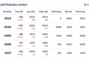 Giá cà phê hôm nay 01/11/2025: Bật tăng mạnh 1.500 đồng/kg