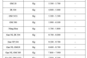 Giá lúa gạo hôm nay ngày 2/11 và tuần qua: Gạo xuất khẩu biến động