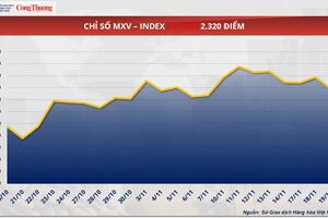 Giá cà phê thế giới bứt phá giữa áp lực thiếu hụt nguồn cung toàn cầu