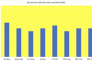 Giá heo hơi hôm nay 26/11/2025: Tăng giảm trái chiều