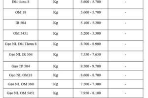 Giá lúa gạo hôm nay ngày 1/12: Thị trường khởi sắc, lúa xu hướng tăng