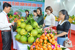 Bắc Ninh sắp diễn ra Lễ hội trái cây 2025 quy mô lớn