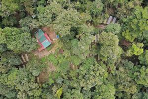 Làm giàu từ 'hạt ngọc' dưới chân núi Ngọc Linh