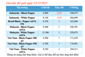 Giá tiêu hôm nay 23/12/2025: Tăng nhẹ 500 đồng/kg