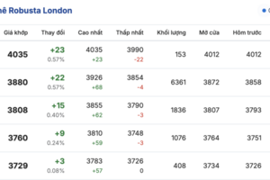 Giá cà phê hôm nay 30/12/2025: Quay đầu giảm mạnh
