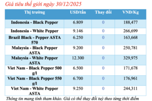 Giá tiêu hôm nay 30/12/2025: Thị trường trầm lắng