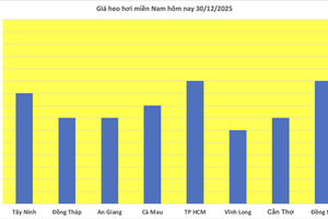 Giá heo hơi hôm nay 30/12/2025: Biến động trái chiều