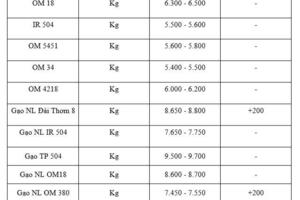 Giá lúa gạo hôm nay ngày 19/1/2026: Gạo xuất khẩu tăng