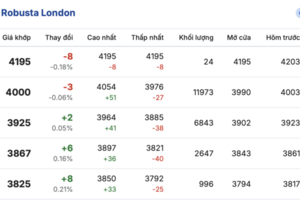 Giá cà phê hôm nay 19/1/2026: Chững lại phiên đầu tuần