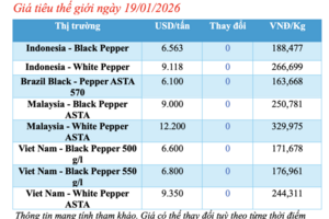 Giá tiêu hôm nay 19/1/2026: Tiếp tục đi ngang