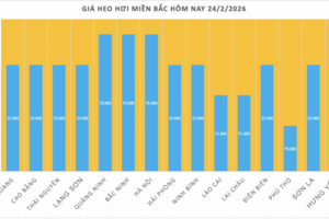 Giá heo hơi hôm nay 24/2/2026: Giảm vài nơi tại miền Trung và miền Nam
