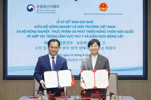 Việt Nam - Hàn Quốc thống nhất mở cửa thị trường với sản phẩm thịt gà chế biến