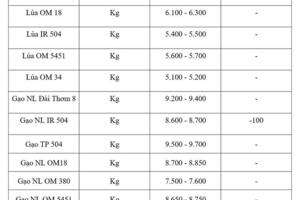 Giá lúa gạo hôm nay ngày 8/5: Gạo nguyên liệu xuất khẩu đảo chiều giảm