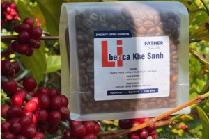 Cà phê Khe Sanh: Bản hành khúc trăm năm