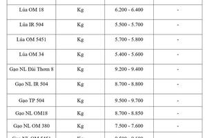 Giá lúa gạo hôm nay ngày 25/6: Gạo nguyên liệu xuất khẩu tăng