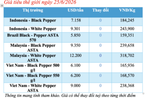 Giá tiêu hôm nay 25/6/2026: Tiếp tục neo cao