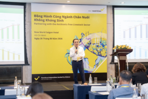 Chăn nuôi không kháng sinh hướng tới sản xuất bền vững và hiệu quả cao
