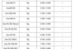 Giá lúa gạo hôm nay ngày 8/7: Gạo xuất khẩu biến động trái chiều